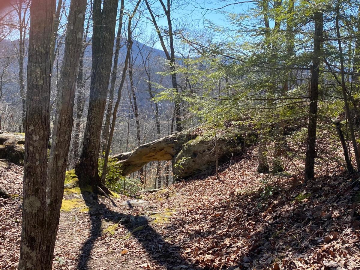 Pine Mountain Inn Pineville Zewnętrze zdjęcie